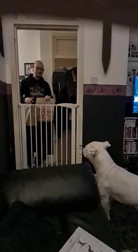 Simon Ashley on TikTok