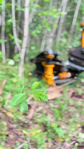 Giljotiini tööpõhimõtted võsas