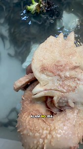 3.6M views · 22K reactions | Rare and smart tips sa hito farming | Kahoneho | Facebook