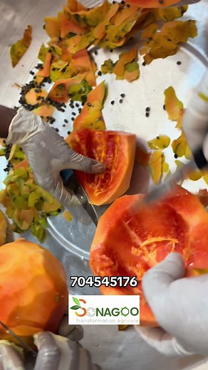 Formation en transformation et conservation des fruits et légumes