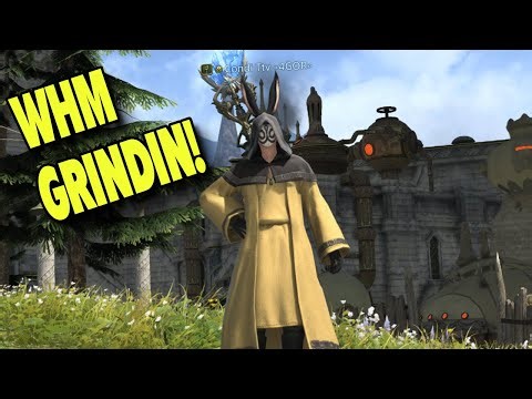WHM GRIND TO 80! AIMING FOR ENDWALKER!