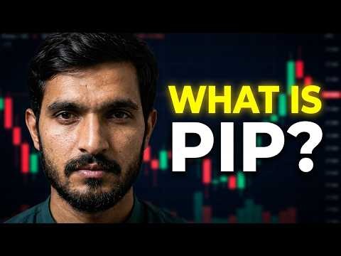 What is Pip in Forex Trading? How to Calculate Profit & Loss