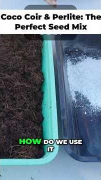 DIY Seed Starting Mix: The Secret to Perfect Seedlings! 🌱✨