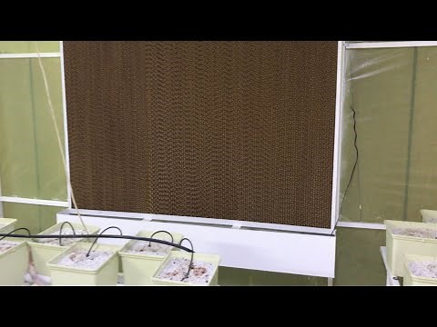 How to detail and install cooling cells for agricultural reserves and poultry