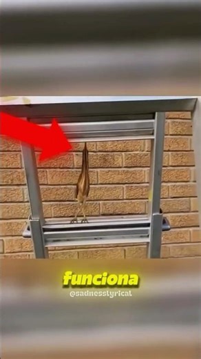 ele finge ser um pedaço de pau para sobreviver!😲