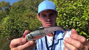 34K views · 358 reactions | John Costello from My Lure Box , we can't wait to see what monsters you catch on the Rapala X-Rap Peto. | Rapala | Facebook