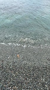 2.7K views · 75 reactions |  Ocean Drive is a reset button that works any time of day. Early afternoon brings bright water and steady breeze, late day turns the ocean silver and the sky warm, and evening leaves only waves and the sound of wind in the grass. Pause at Brenton Point, take the long look, and let the noise of the week fall away. When does Ocean Drive clear your head best, bright midday, golden hour, or after sunset? | Visit Newport RI | Facebook