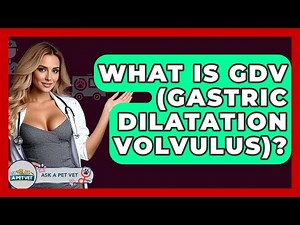 What Is GDV (Gastric Dilatation Volvulus)? - Ask A Pet Vet