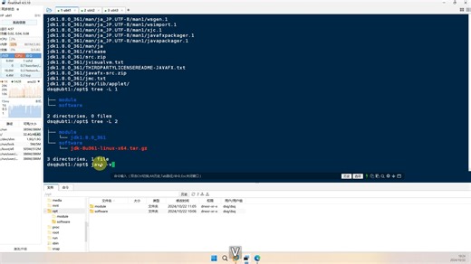 14. 在虚拟机集群中安装Java JDK