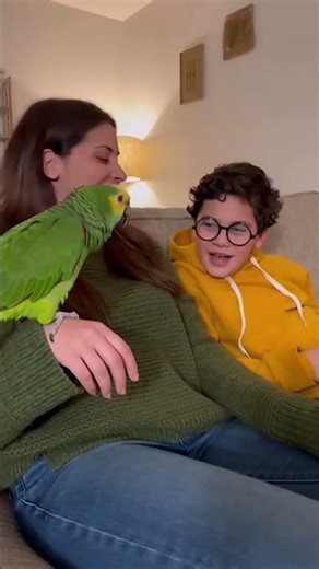 Woman Did you finish your homework #fyp #parrot #viral #trending