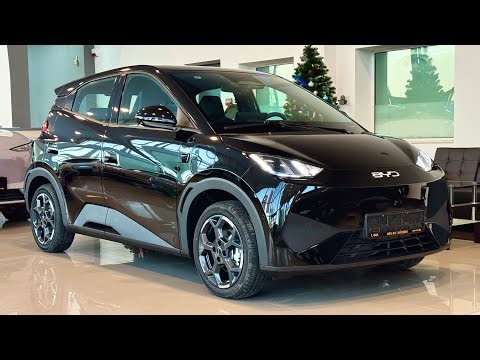 2025 BYD Dolphin Surf - Visual Review of the Car