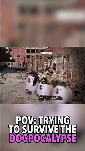 The Borking Dead? #thewalkingdead #dogs #memes