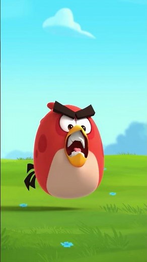 Pigs can actually fly? 😵🪽