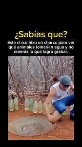 509K views · 10K reactions | Mira hasta el final  | Búho Sabio | Facebook