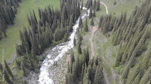 Drone video of Altyn Arashan River, Yurts Village, Natures, Landscape, Karakol, Issyk Kul Lake, Kyrgyzstan, Central Asia, 4K Ultra HD.