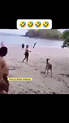 🤣🤣🤣🤣🤣🤣🤣 #paradiseskit #reelsfypシ #reelsfbシ #reelsvideoシ #viralreelsシ #funnyreels #funnyreelsvideo #trendingreels #trendingreelsvideo #trendingnow #fypシ #cr7 #fypagee #viralpage #foryoupageシ #foryoupage #voiceover | Paradise Skit