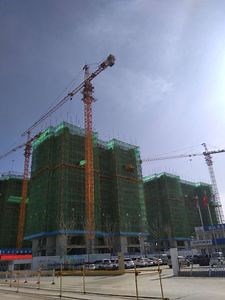 [Hot Item] Fyg 8t Tc5512 Self Rising Tower Crane