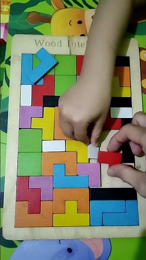 Wood Intelligence Puzzle 1