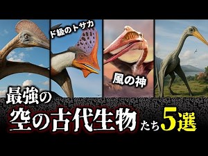【ゆっくり解説】でかすぎる翼！恐るべき飛翔能力！古代の空を制した“最強の飛行生物”たち