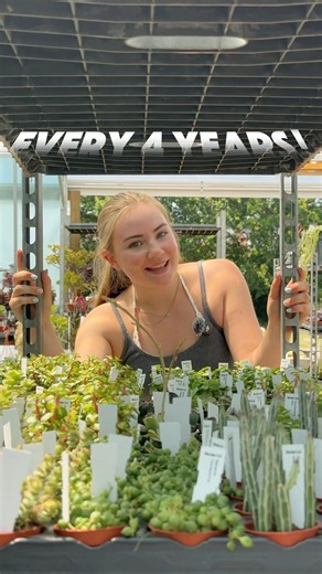 BCSS National Show 2026 #succulents #plants #cacti
