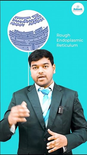 Endoplasmic Reticulum Functions || Aakash Institute - Telugu