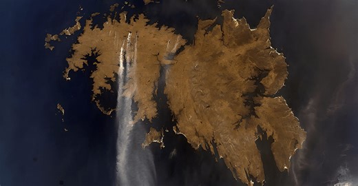 Ancient hidden forest found on treeless South Atlantic island