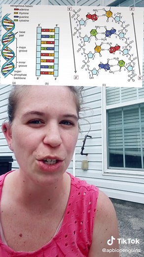 AP Biology Topic 1.6 Study Insights