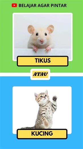 Names of animals used in computers #shortsvideo #quiz #learntobesmart