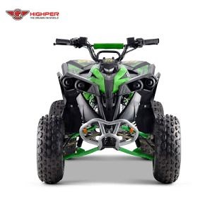 [Hot Item] 125cc 4-Wheel Sport Buggy Quad Bikes Atvs for Adults