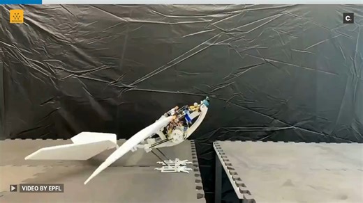 465K views · 6.5K reactions | Inspired by birds, RAVEN redefines drone takeoff in confined spaces. Unlike traditional drones that require a smooth surface or launcher, RAVEN uses birdlike legs to navigate rough terrain and leap directly into the air. This innovation makes drones more versatile for deliveries, disaster response, and inspections in challenging environments. Video Credit: EPFL #engineering #technology #epfl | Wevolver.com | Facebook