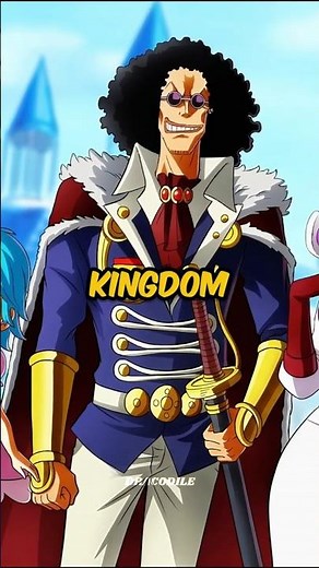 Brook’s Secret Bounty History Will Blow Your Mind 💀🔥 #onepiece #animeshorts #luffy #dracodile