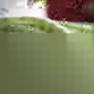 307K views · 12 reactions | 8 Amazing Health Benefits of Yard long beans Subscribe: youtube.com/ventunoyoga Follow: instagram.com/ventunoyoga #beans #longbeans #vegetables #healthyvegetables #eathealthy #healthydiet #dietingright #healthbenefits #healthtips | Dieting Right | Facebook