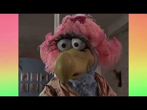 Follow That Bird: A Postcard from Home