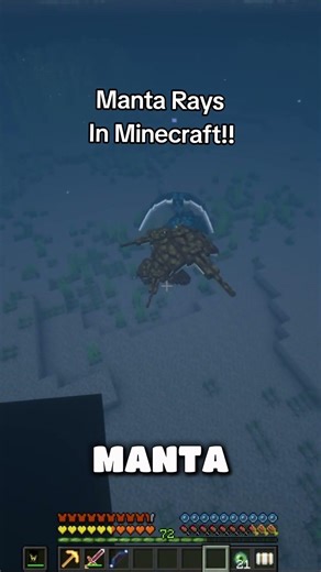 manta Rays in Minecraftn #minecraft #fypシ #shorts #minecraftshorts #mantaray #viral #viralshorts
