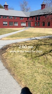 3.5K views · 43 reactions | A day in the life of a first-year student at Bennington! This video was made by students in Noelle Rouxel-Cubberly's First-Year Forum Class, "We: A Learning Community." #bennington #benningtoncollege | Bennington College | Facebook