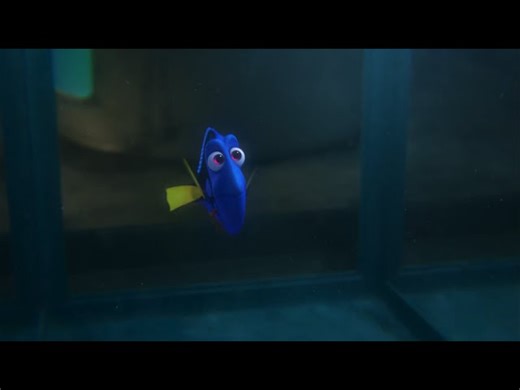 Colours and Numbers for Young Kids