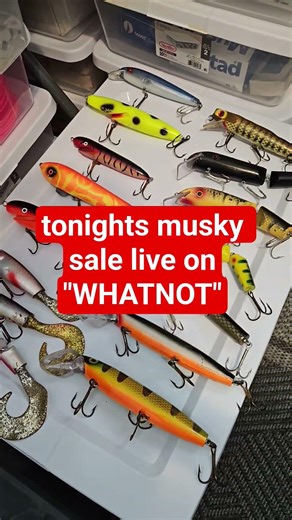 come and join RAC 73069 live auction on WHATNOT app tonight at 7pm #fishing #muskyfishing#luresales