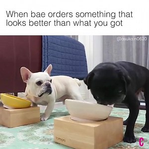 Actual footage from date night last night. (@cosmopolitan) | Cute Club