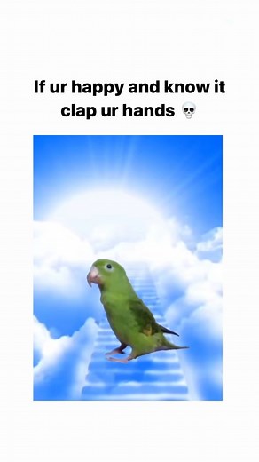 TopMEMEs | I can make ur hands clap😂 Follow @neversaymemes for more Funny Memes ❗️ Help follow🙏🙏🙏 🔔 Turn ON Post Notifications 🔔 . follow... | Instagram