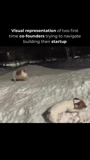 Startups | Entrepreneurs | VCs🦄 on Instagram: "Just two silly friends tryna make it big #startups #startup #startupmemes #startupmeme #startuphumor"