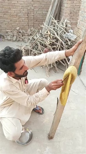 How to Extract Honey from a Honeycomb