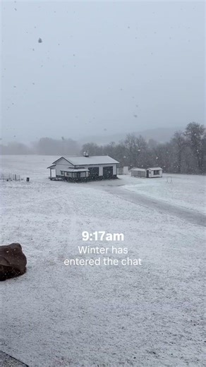 Wisconsin Spring… in 6 Hours ❄️➡️☀️