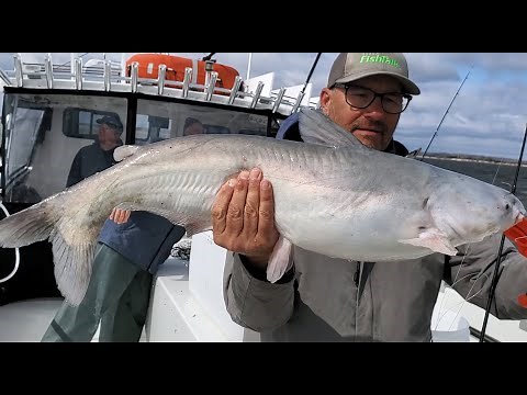 How to Catch Blue Catfish on the Potomac