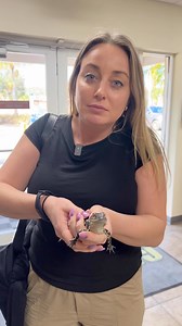 43K views · 589 reactions | Anna survived the Gatorland Orlando zip line! Full video coming soon!  #ad Until then, enjoy our welcome-visit with a baby gator! 藍 Thanks to VISIT FLORIDA! | B-105 Cincinnati | Facebook