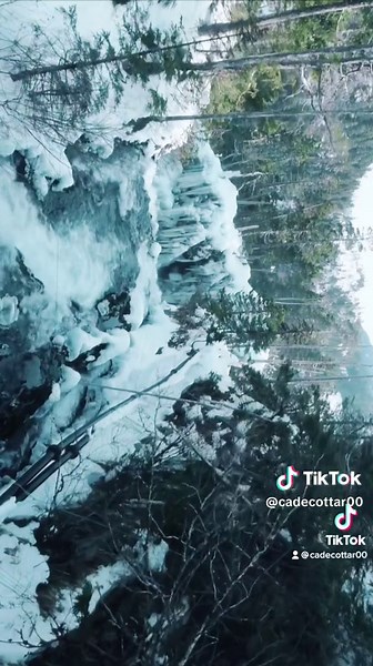 The tale of two seasons here at the site. Felt fitting to post now that we’re approaching the dark days. #alaska #thatsprettyneat #baranof #remotework #nature #neature #salmon #waterfall