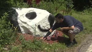 Painted mask sparks dogfight over Dog Rock in Walpole