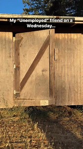 135K views · 1.5K reactions | Should be good pay with the Crackdown!菉 #funny #running #trucks #Action | Elsaucepapii | Facebook