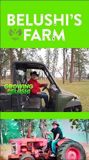 🎶🚜💨 Growing Belushi on Belushi's Farm #snl #growingbelushi #jimbelushi #danaykroyd #bluesbrothers