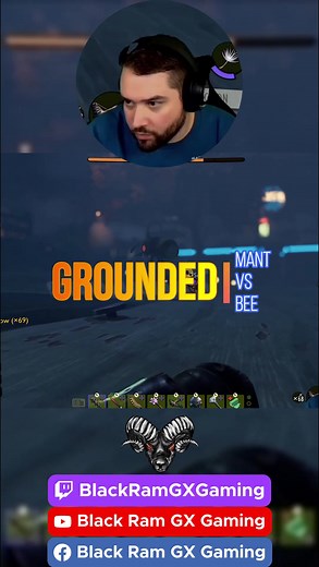 Mansterious Stranger Mutation in Grounded Explained