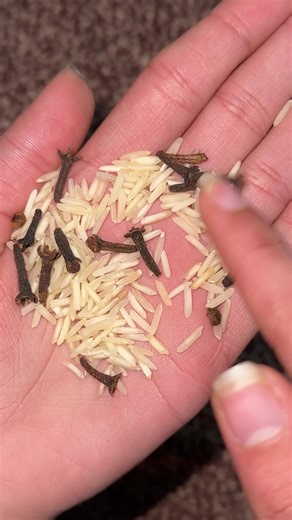 Rice Toner for Acne: Natural Skincare Solution